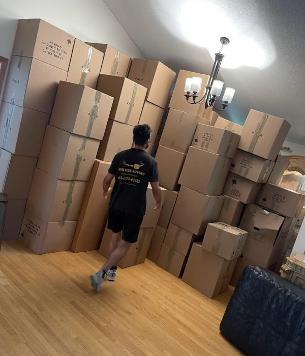 Simplify Your Move: How Ottawa's Packing and Moving Services Make Long-Distance Transitions a Breeze